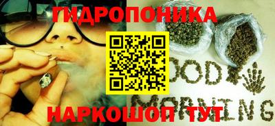 PSILOCYBIN Гусиноозёрск