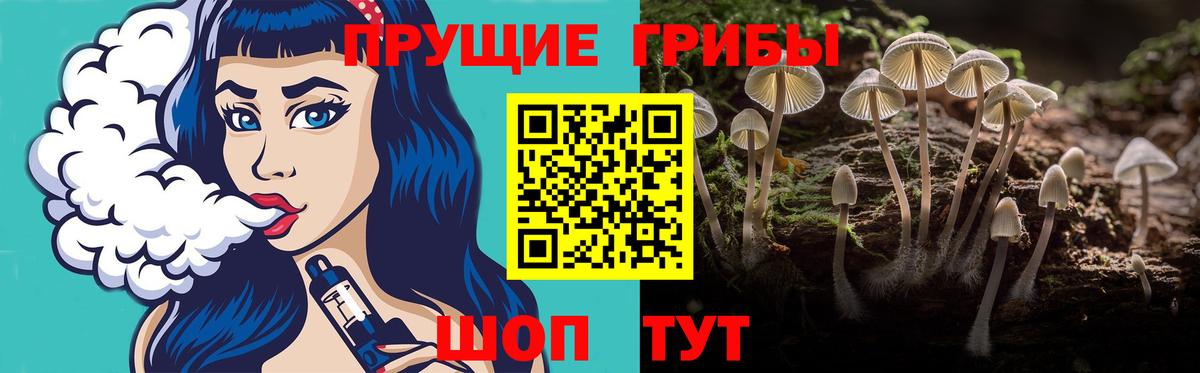 Муравленко  Псилоцибиновые грибы MAGIC MUSHROOMS  магазин продажи наркотиков  Вход с VPN 