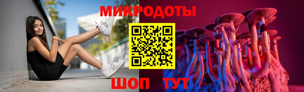 Псилоцибиновые грибы Psilocybe Муравленко