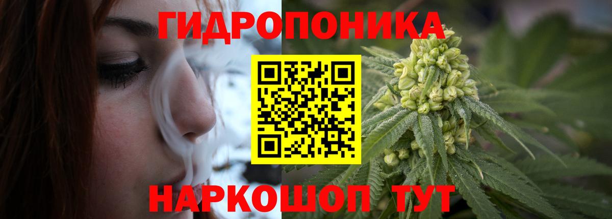 Конопля семена Муравленко
